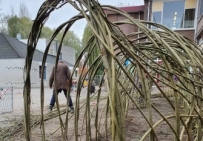 Renovatie schoolplein - Wilgentunnel